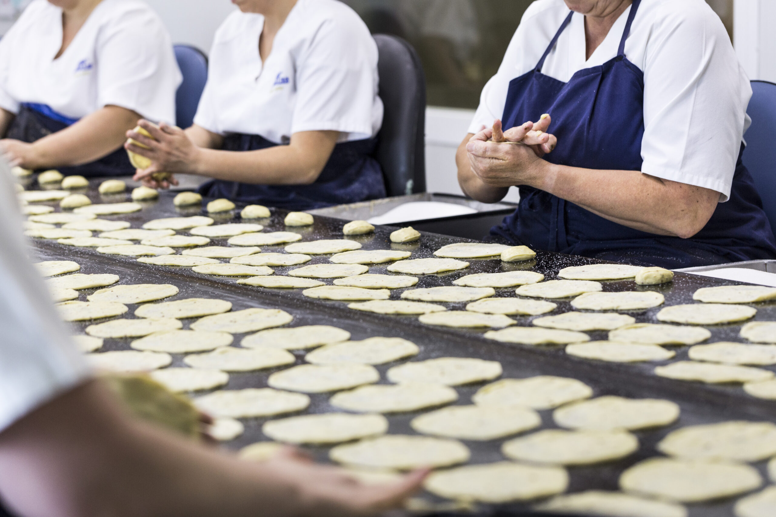 Elaboración de las Tortas de Aceite
